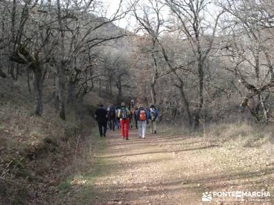 El Monasterio del Bonaval y el cañón del Jarama;excursiones de un día desde madrid senderismo por